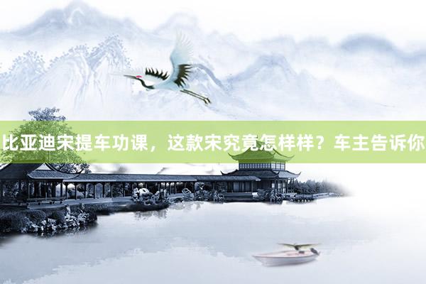 比亚迪宋提车功课，这款宋究竟怎样样？车主告诉你